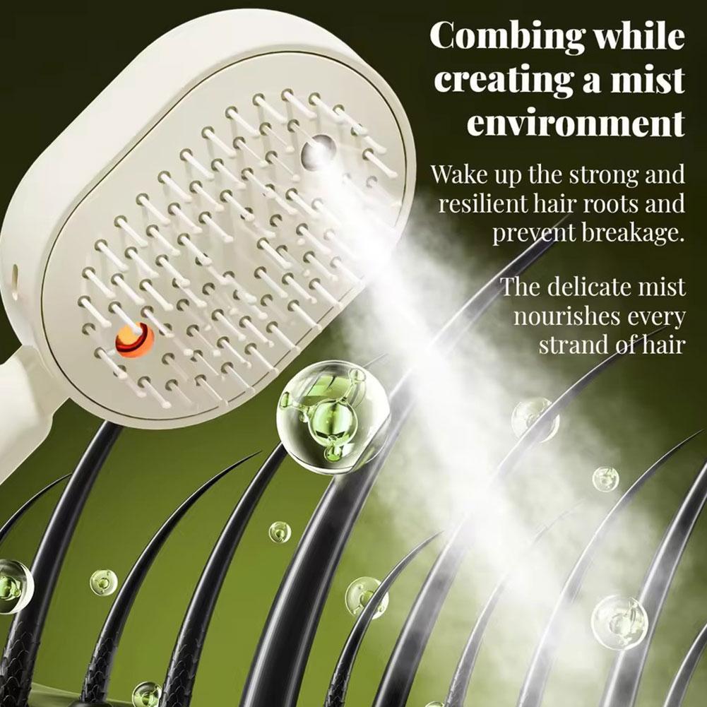 Elektrischer Sprüh-Luftkissen- – Hair Care Essential Oil Atomizing Bewertung und Preis